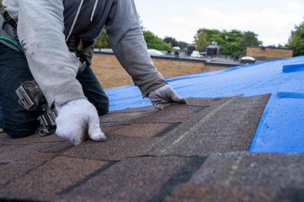 Best Roof Replacement Cost  in Newport, KY