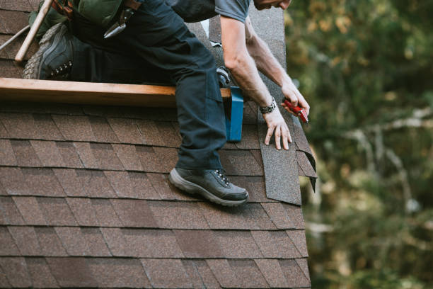 Gutter Installation and Roofing in Newport, KY